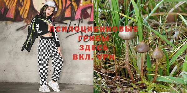 спайс Володарск
